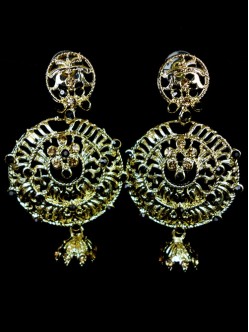 Fashion Earrings